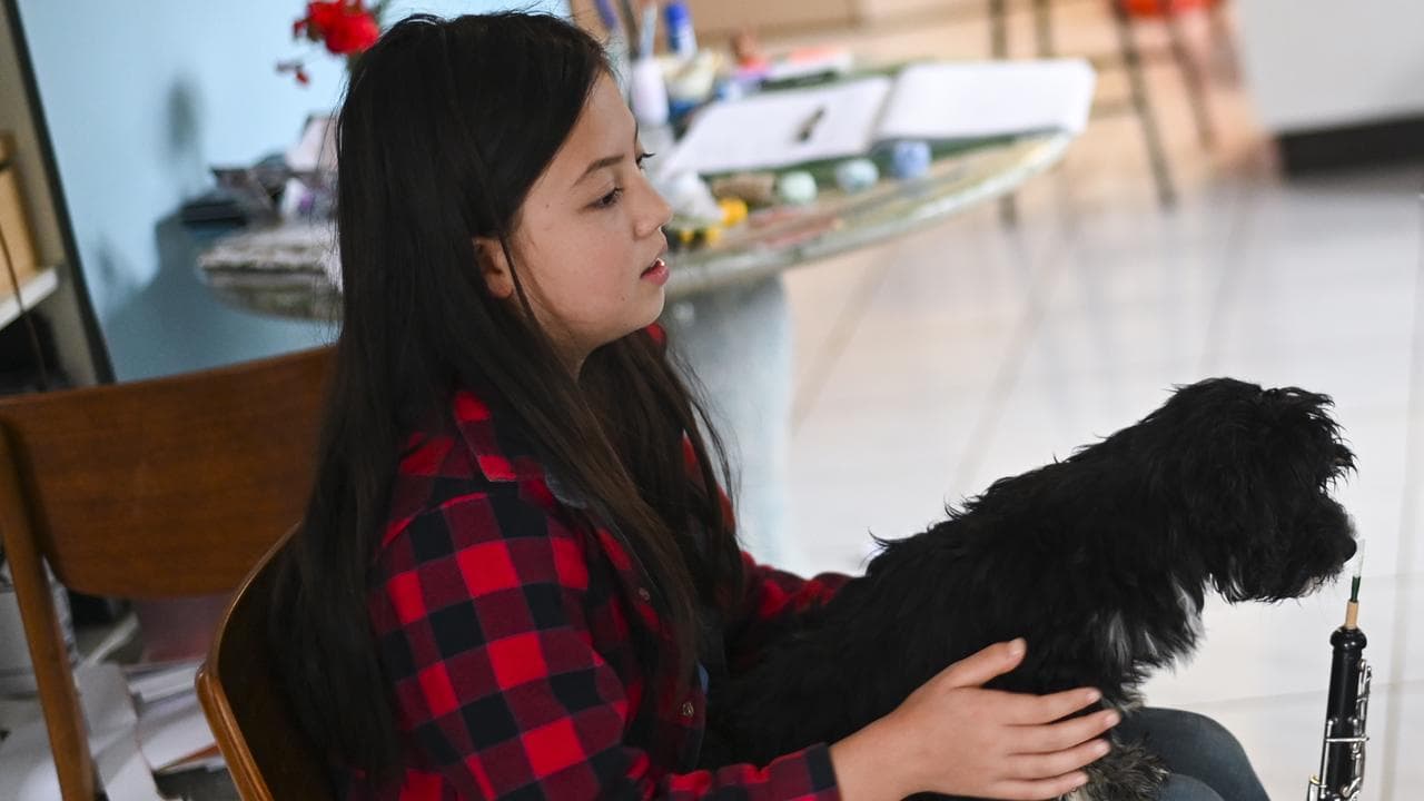 A young person with a pet dog (file image)