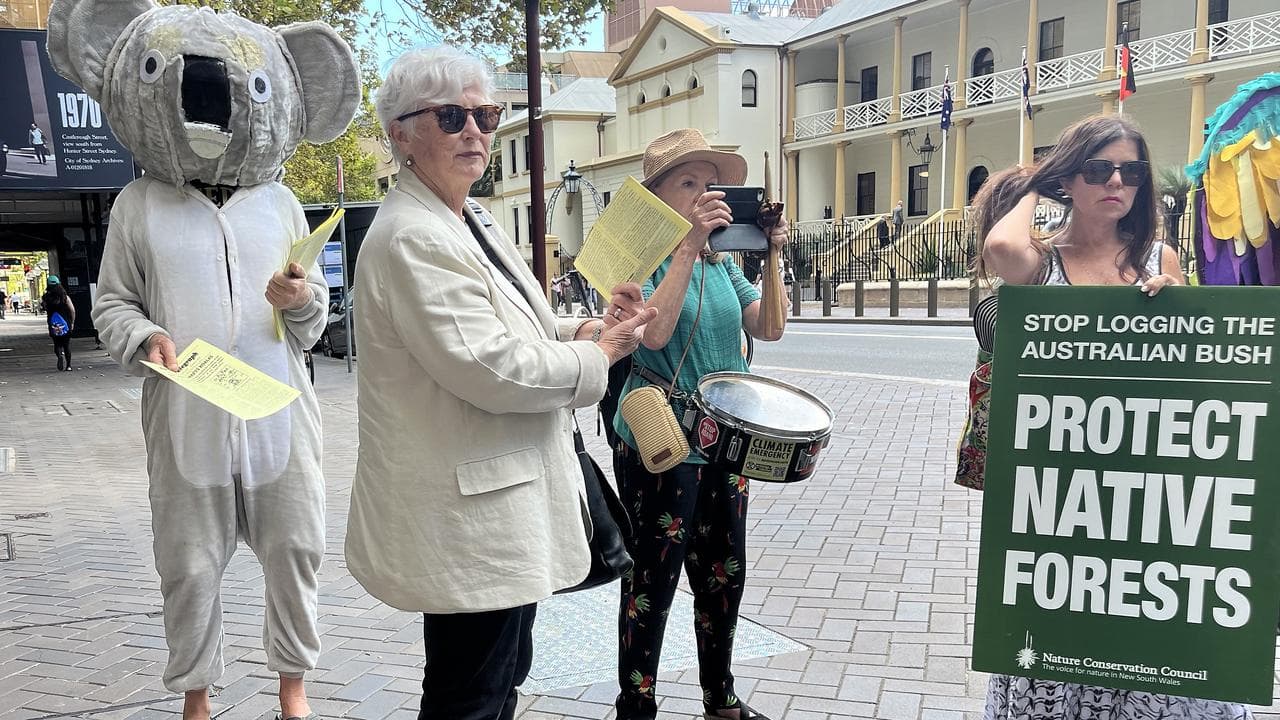 Activists call for logging to stop