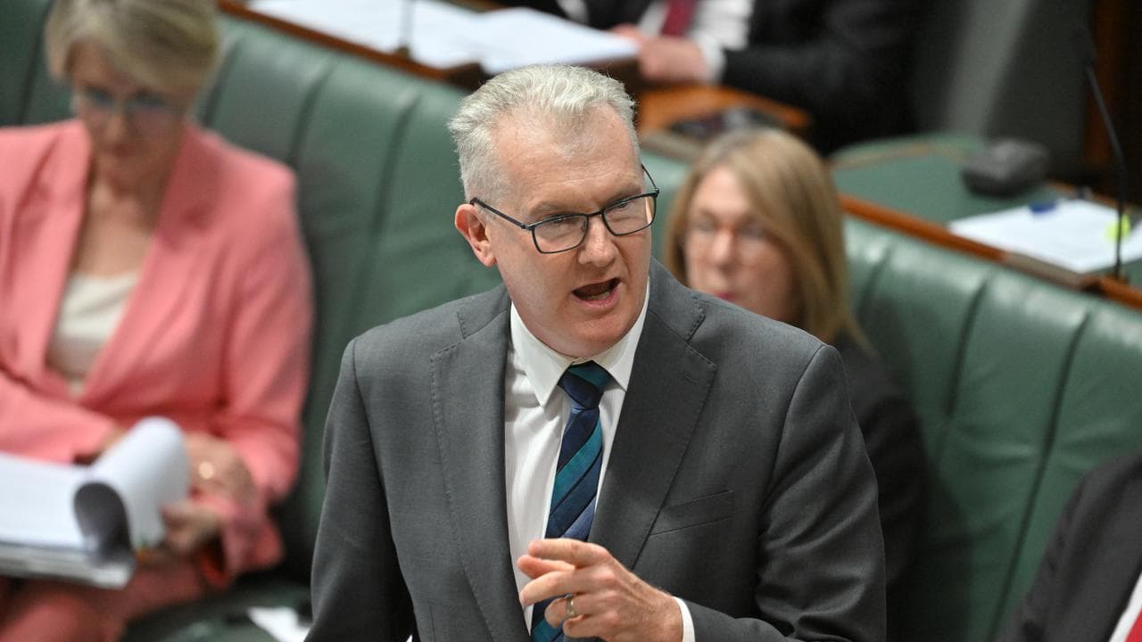 Employment minister Tony Burke