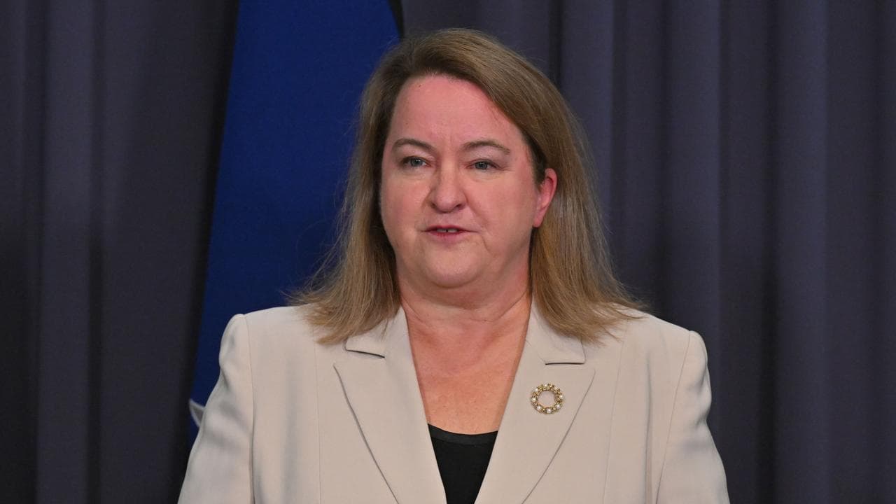 Workplace Gender Equality Agency CEO Mary Wooldridge (file image)