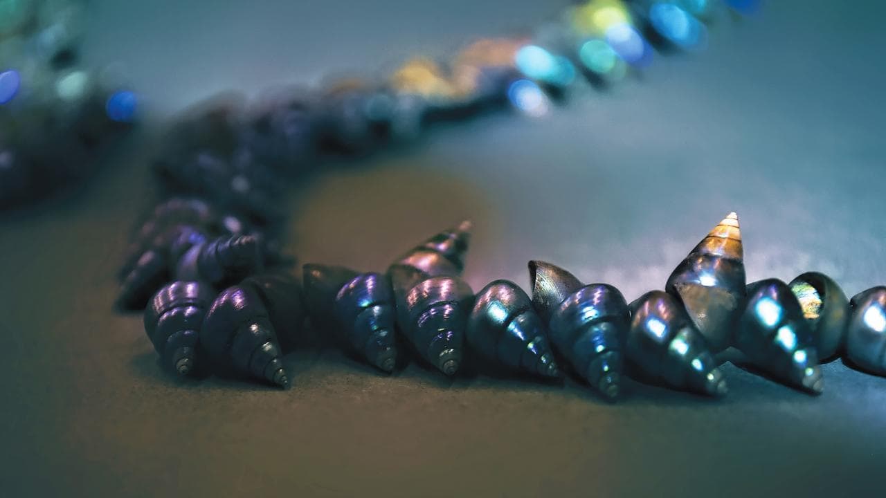 The shell necklace which has been returned