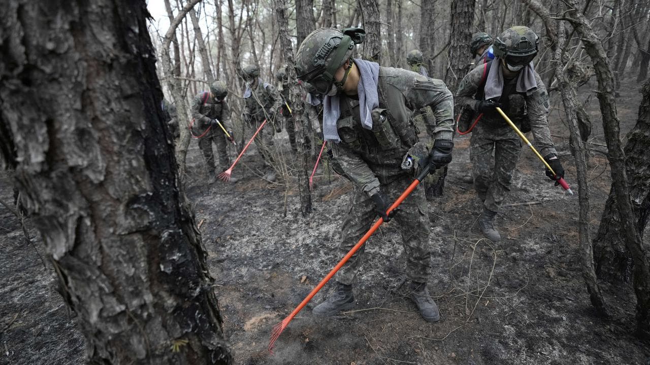 South Korean soldiers fighting fires