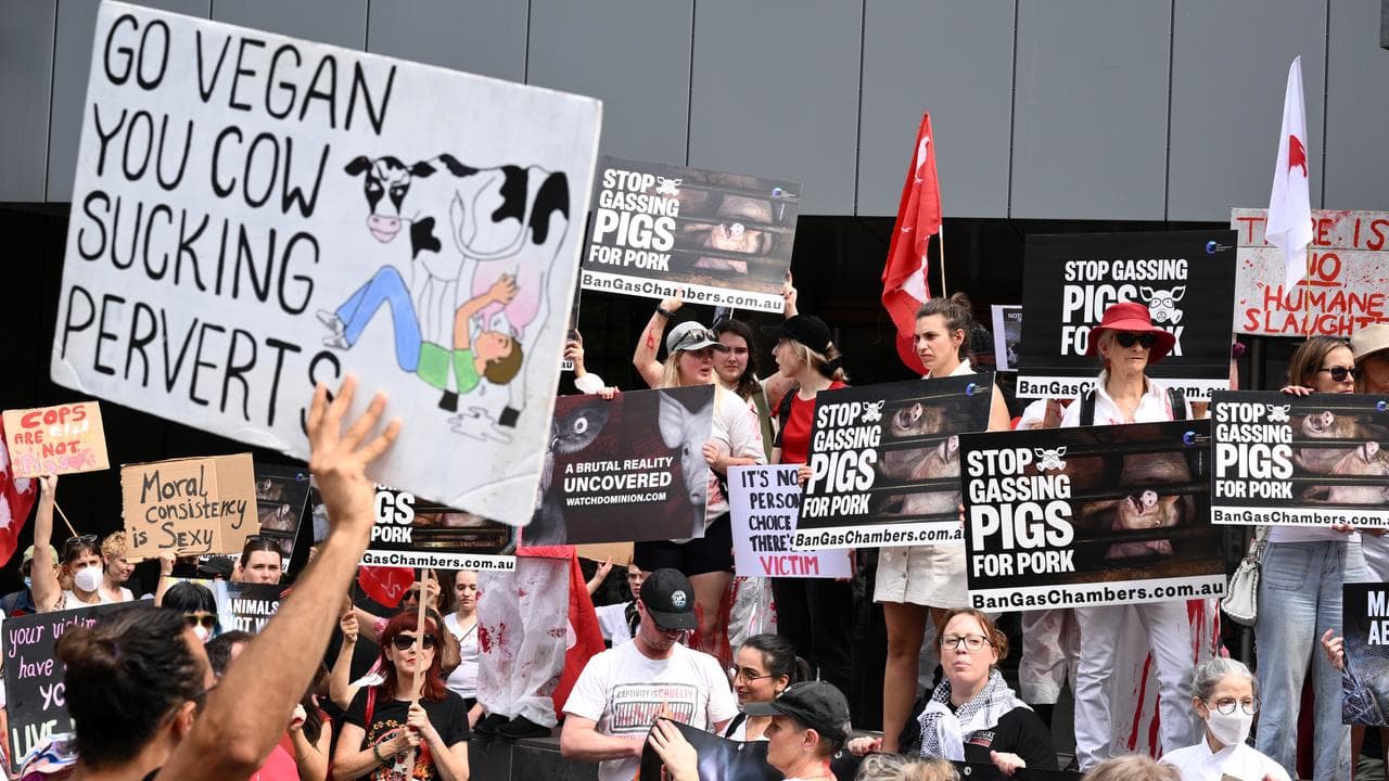 Animal Rights demonstrators