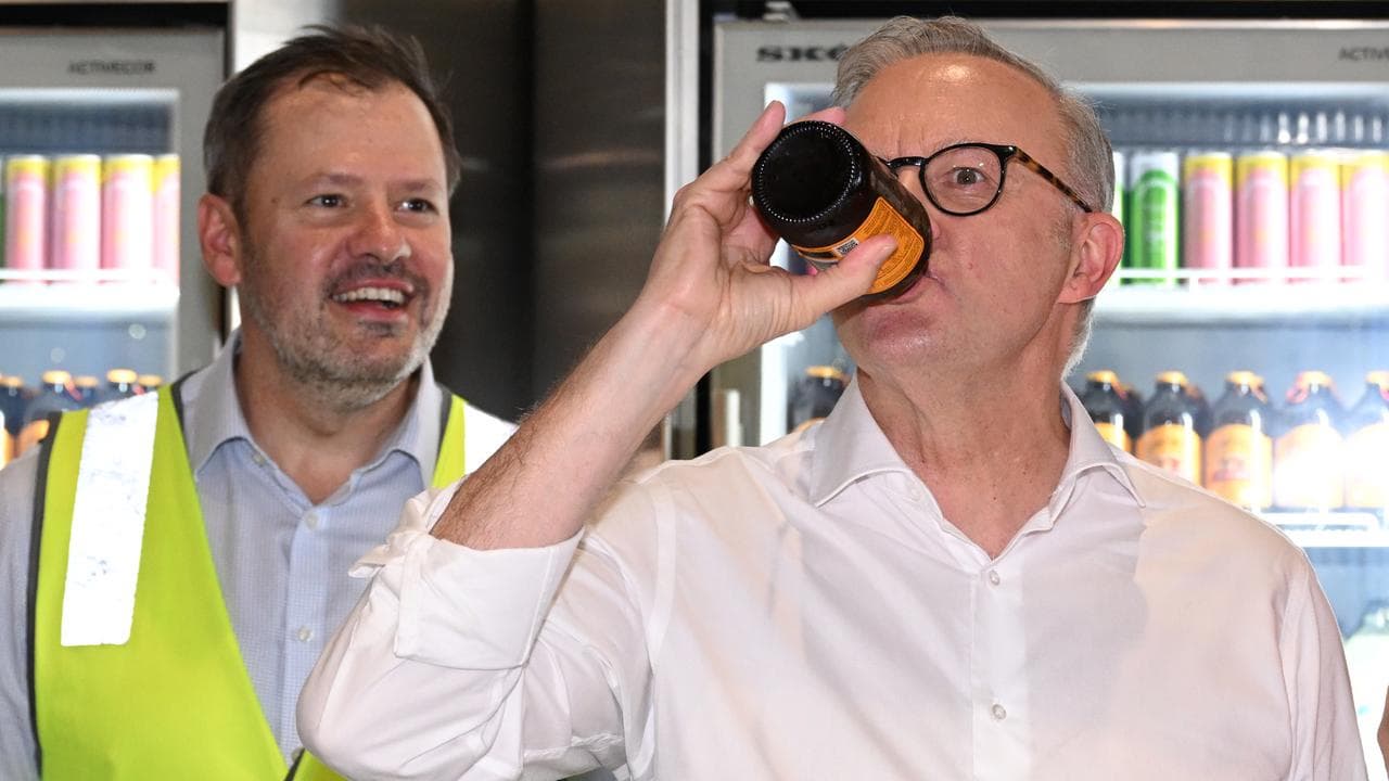 Ed Husic and Anthony Albanese