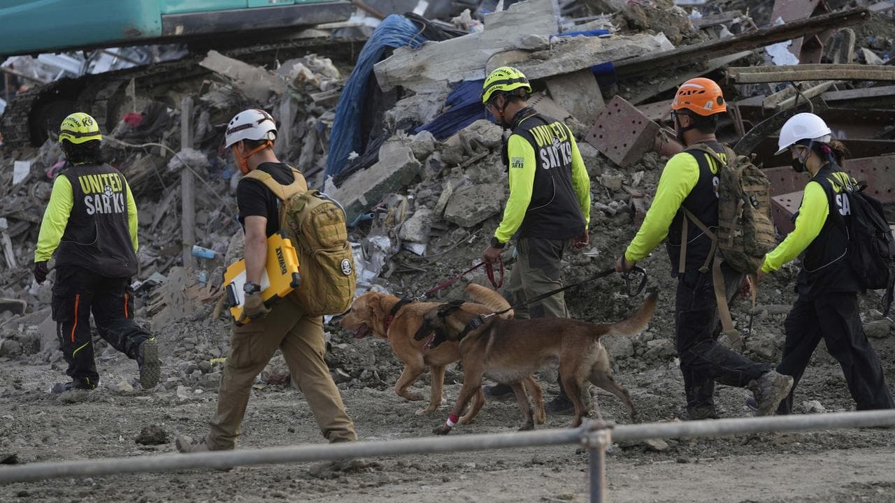 Rescuers with sniffer dogs.