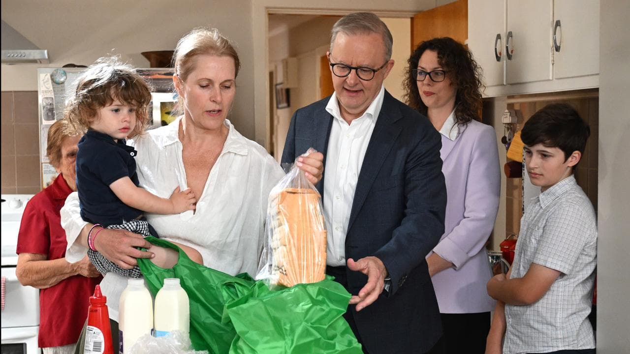 Anthony Albanese on campaign trail