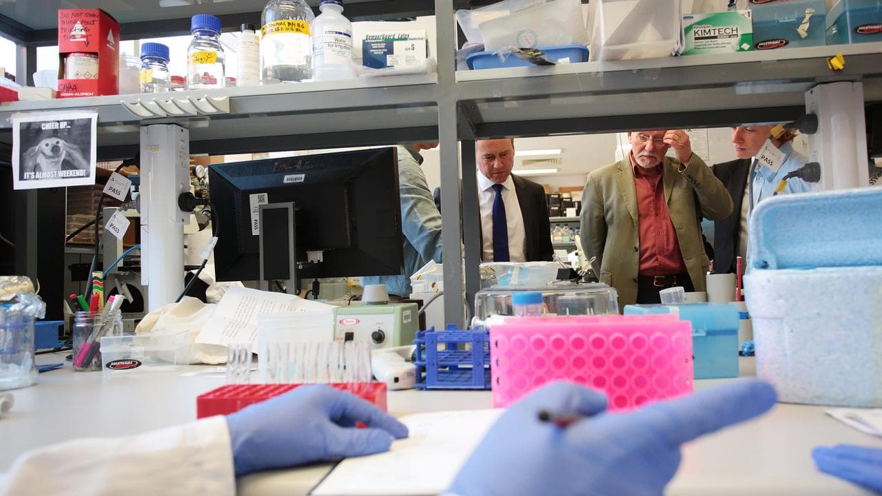 Diabetes reserachers at St Vincent's Institute of Medical Research.