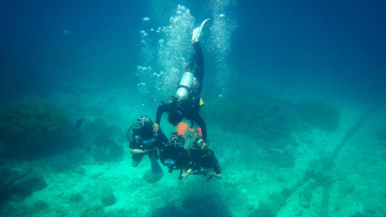 Scuba divers at the Great Barrier Reef