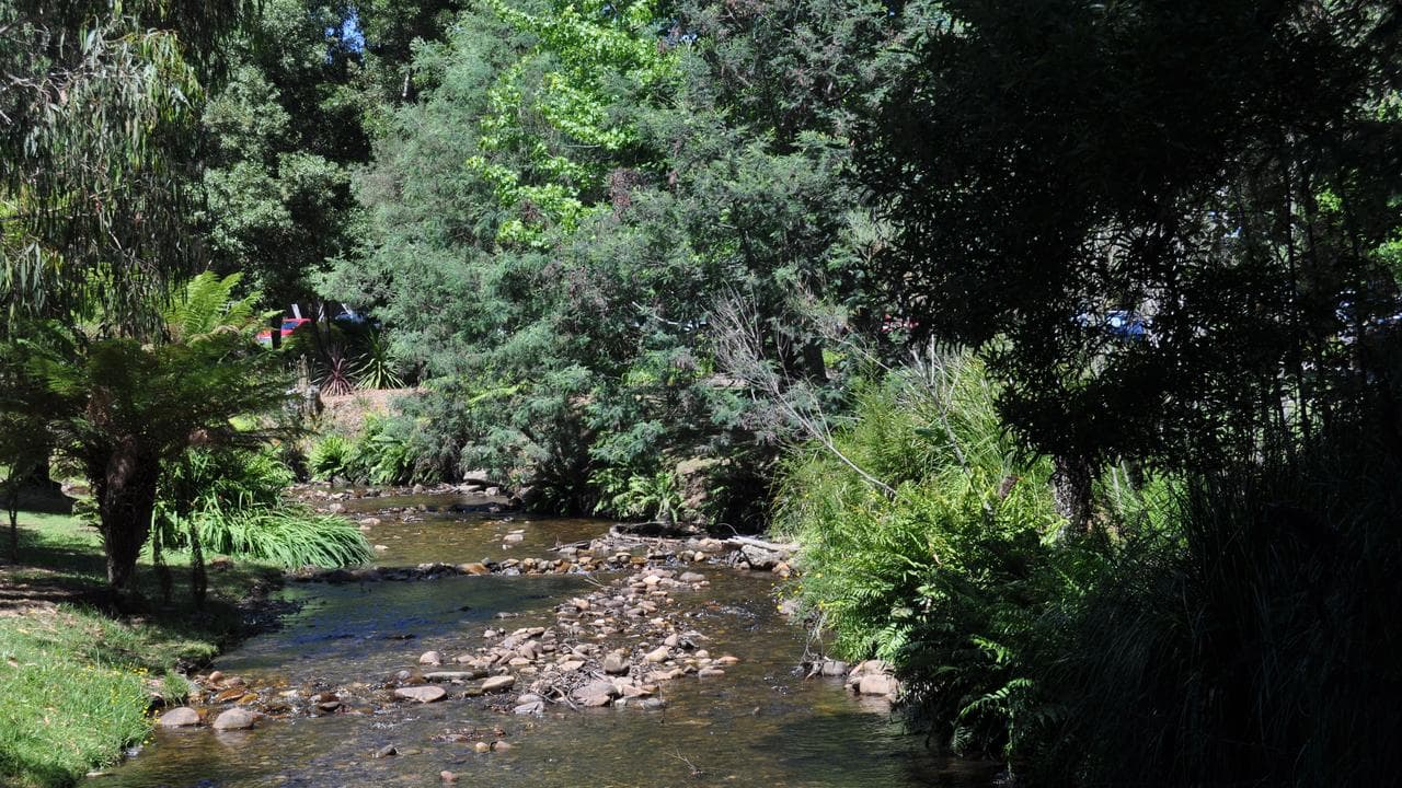 The Steavenson River