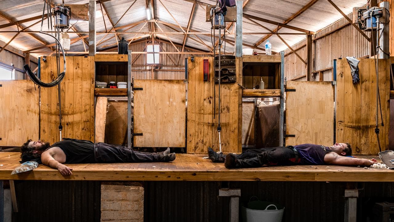 Lunch Break in the Sheds