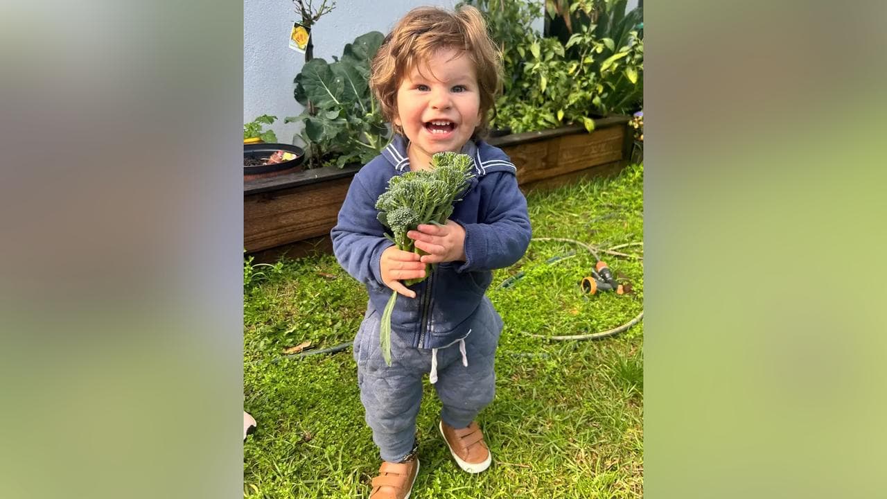 Toddler Joe Massa died in a controversial private hospital