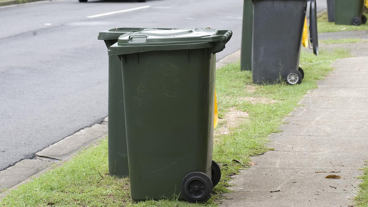 Rubbish bins (file image)