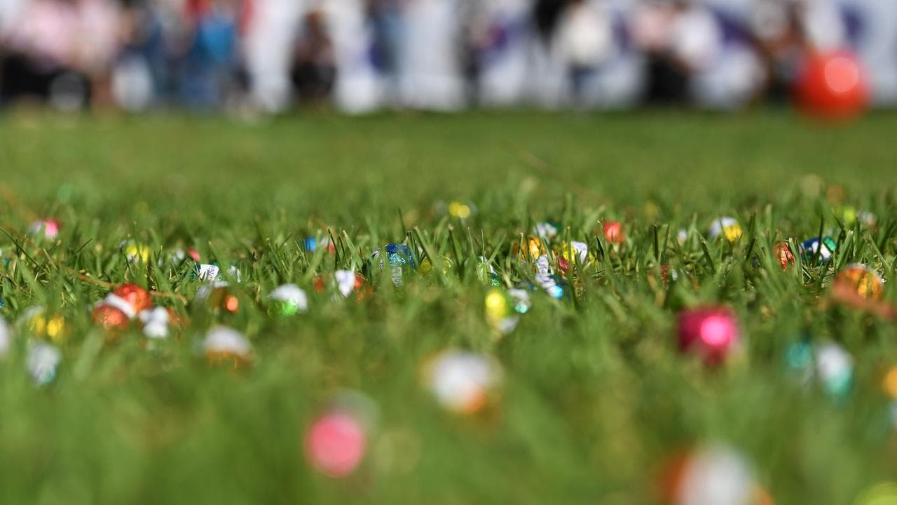 Easter eggs strewn in grass for an Easter Egg hunt
