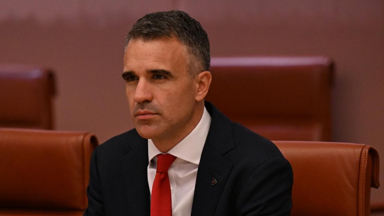 Peter Malinauskas at Parliament House in Canberra.