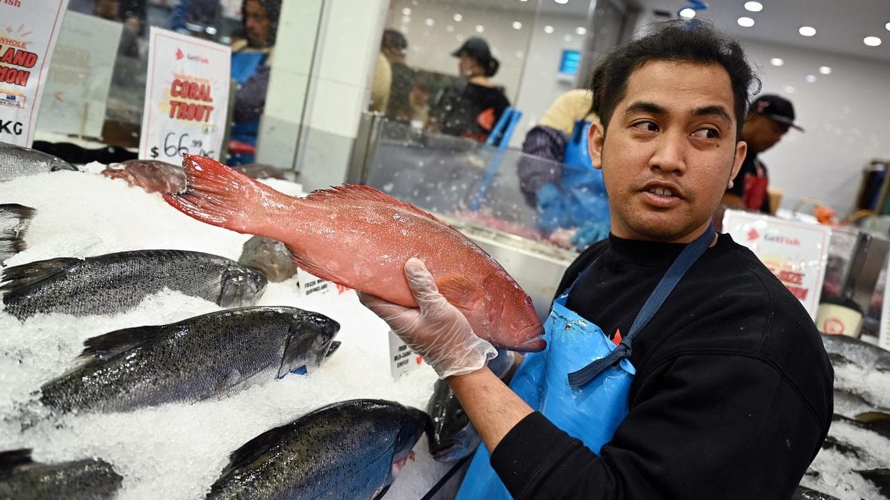 Sydney Fish Market