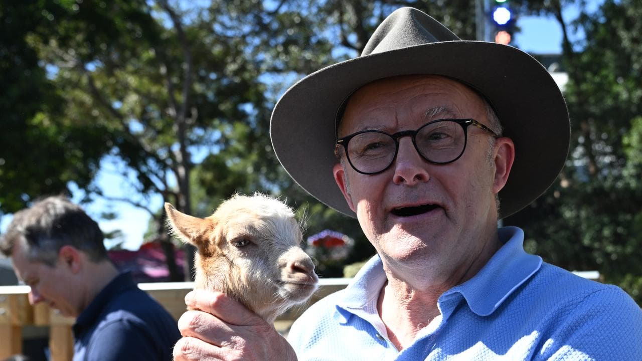 Australian Prime Minister Anthony Albanese