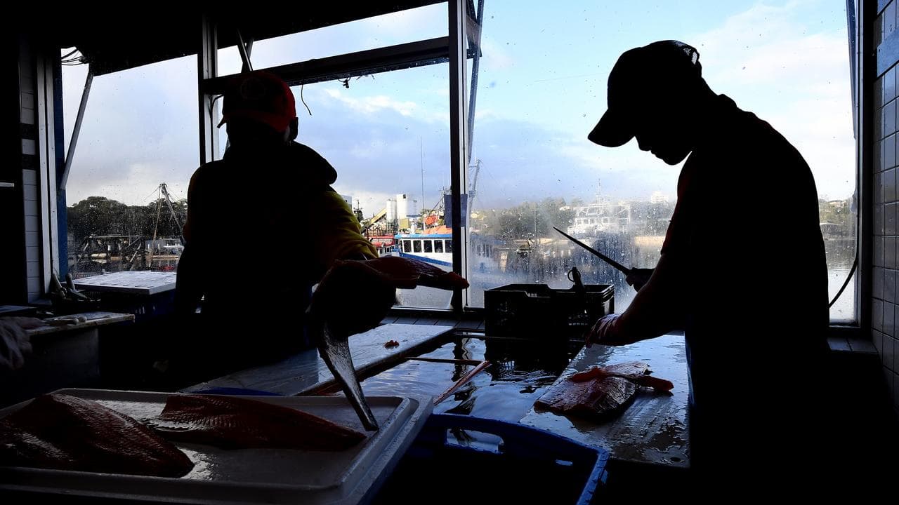 Workers at a fish market (file image)