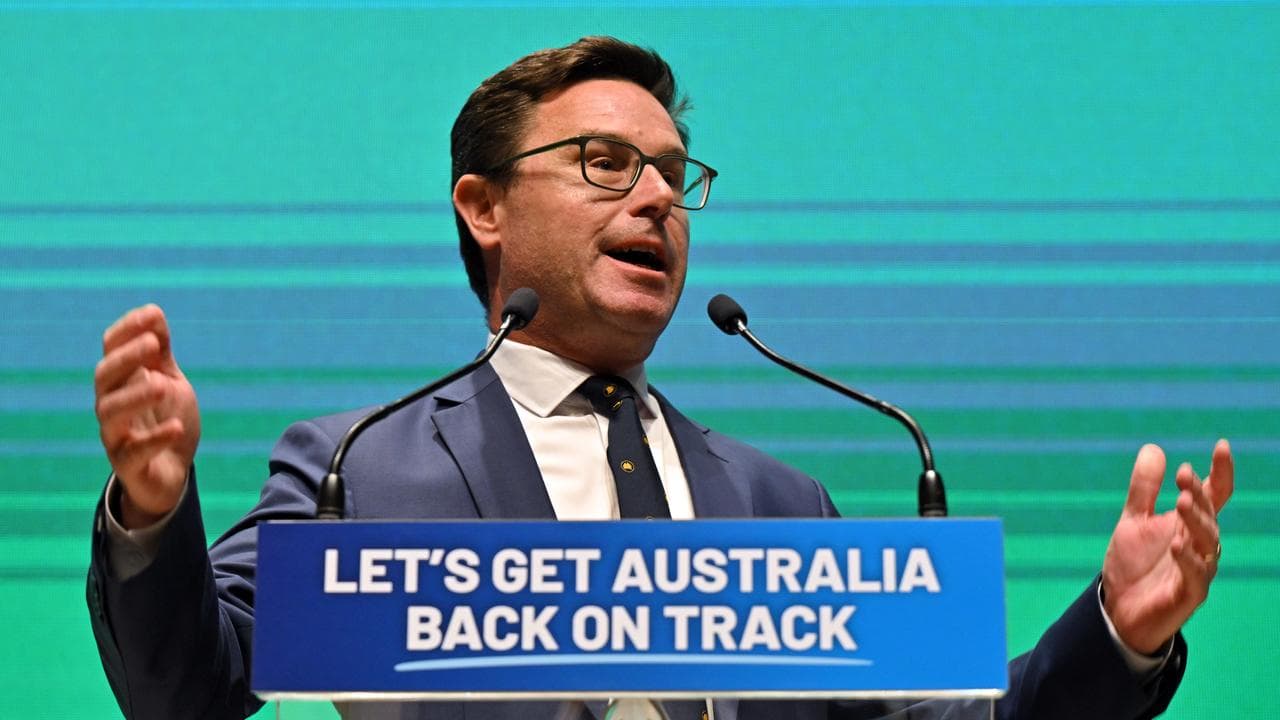 Nationals leader David Littleproud (file image)