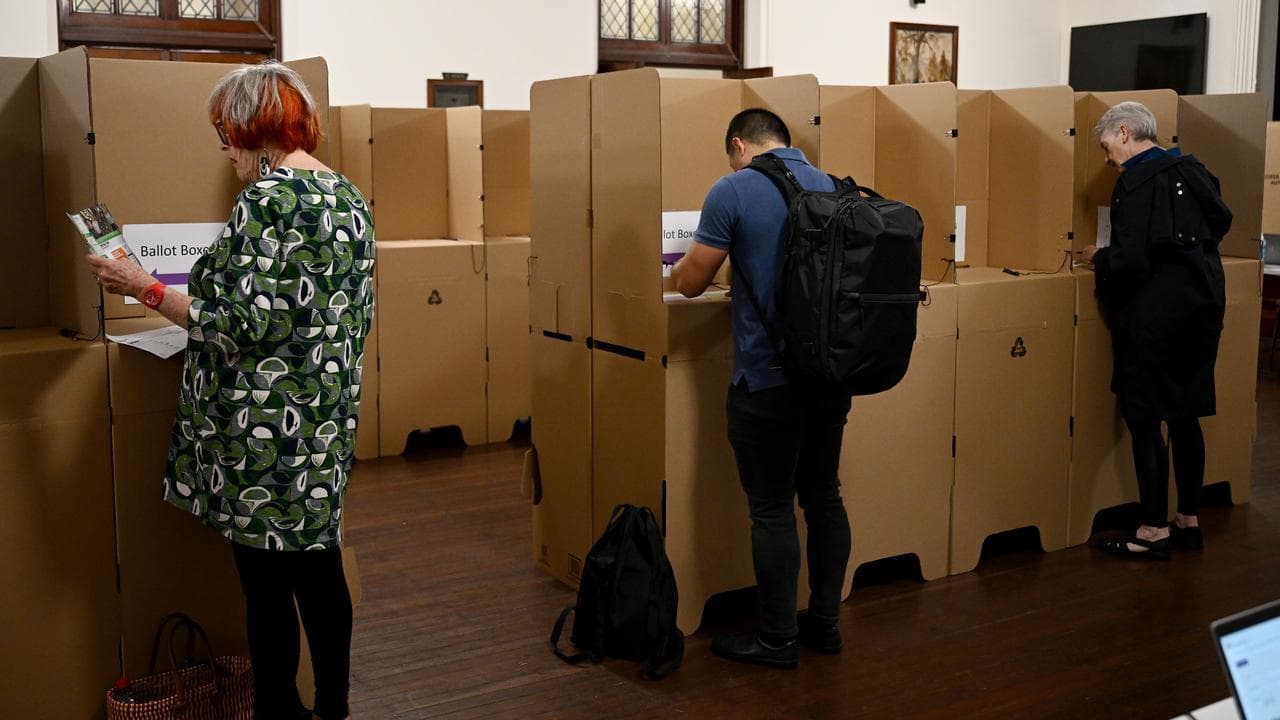 People vote at an early voting centre (file image)