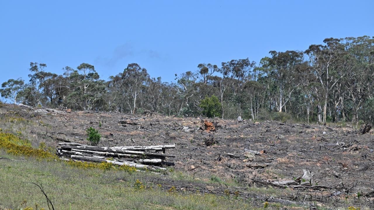 Land clearing