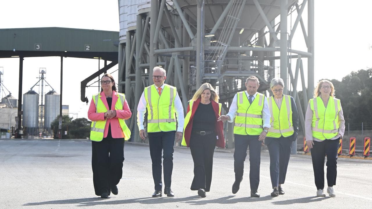 Anthony Albanese with other Labor figures