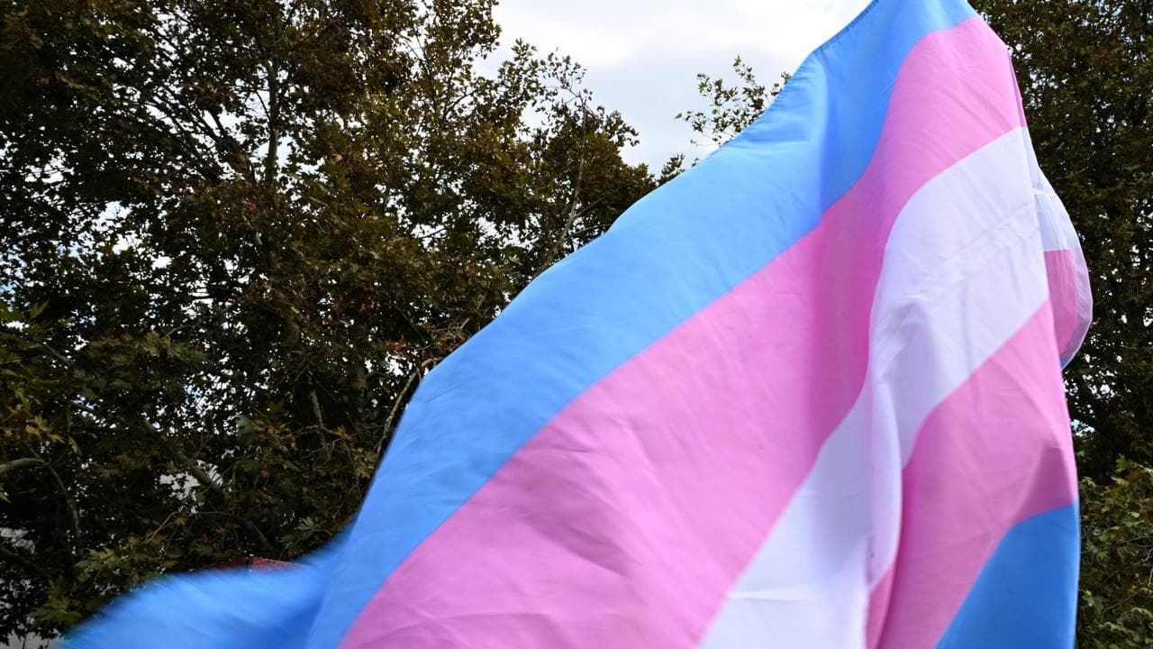 The transgender flag.