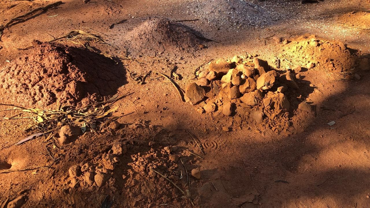 Ardea Resources nickel mine, north of Kalgoorlie, WA