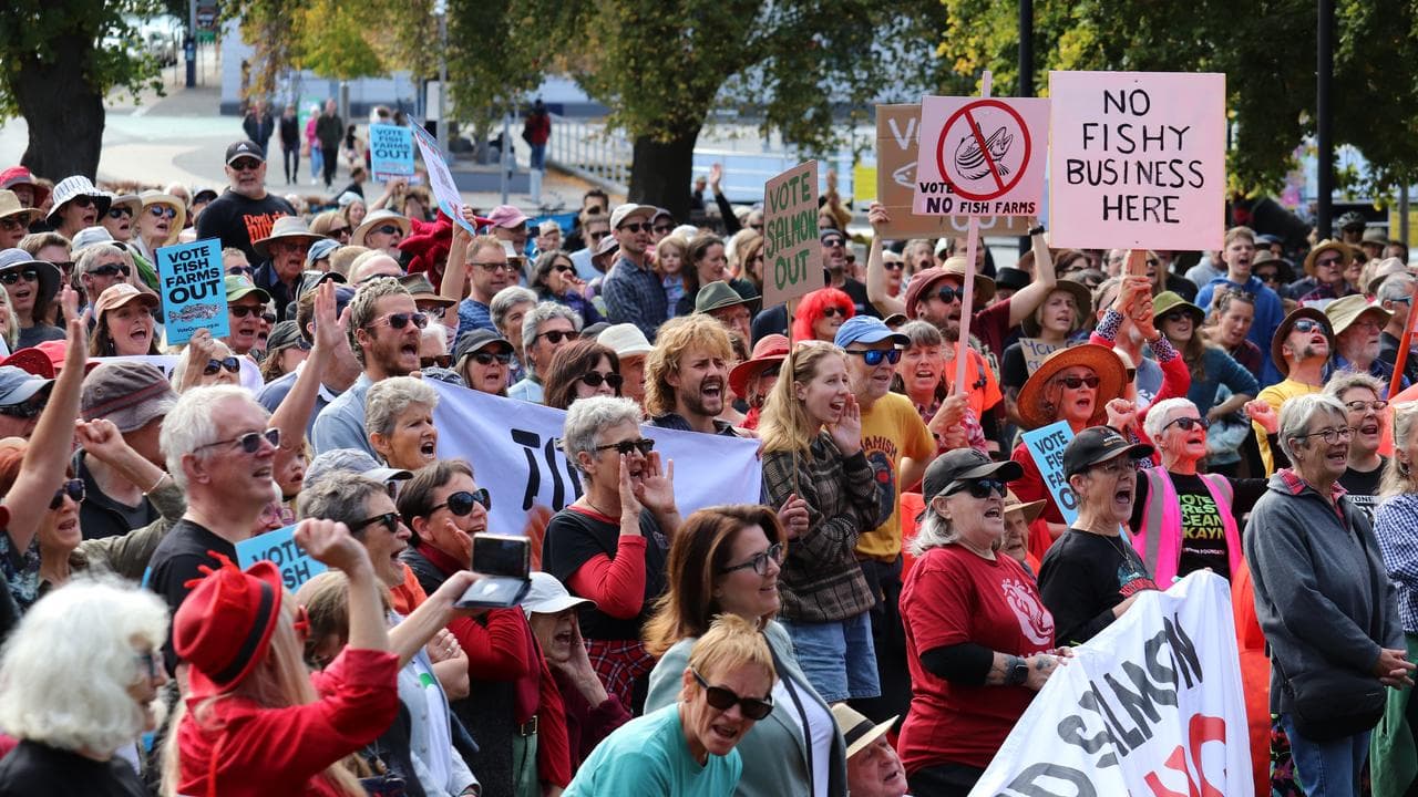 Anti-salmon protesters rally in Hobart, Tasmania