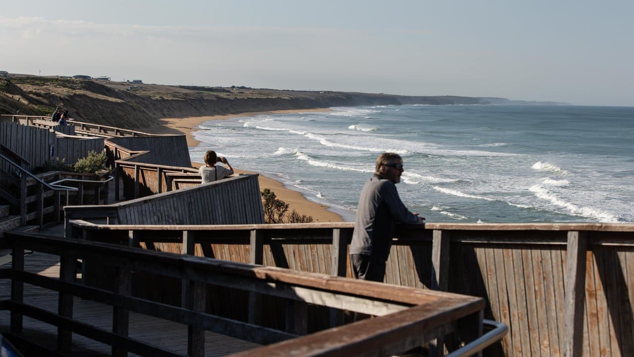 A general view of Logans Beach Whale Nursery