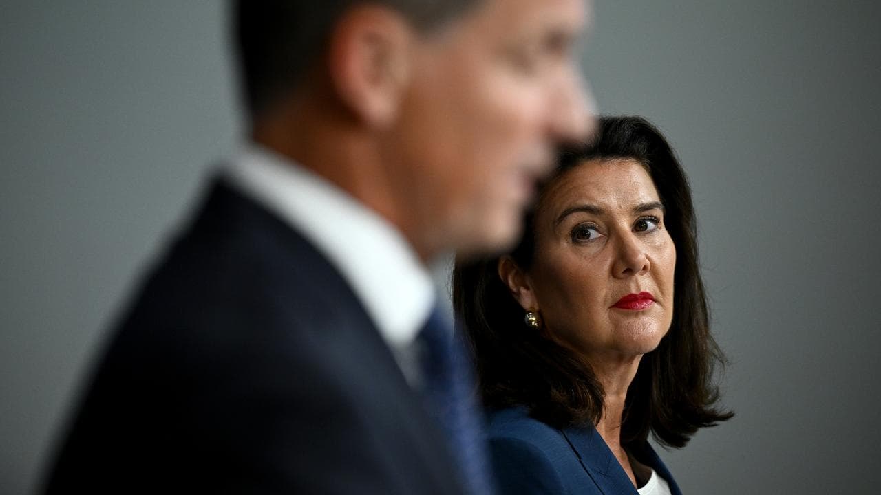 Angus Taylor and Jane Hume detailing the coalition's costings