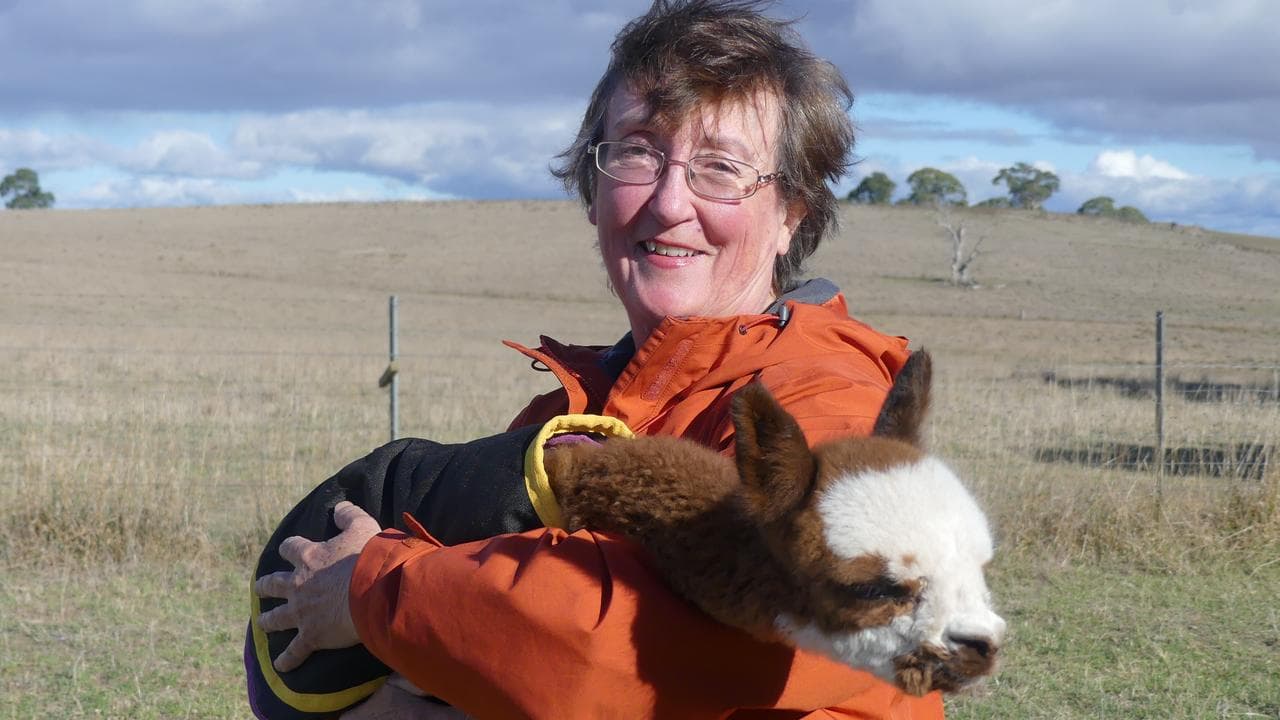 Jennie Carey with baby alpaca Goodness Gracious