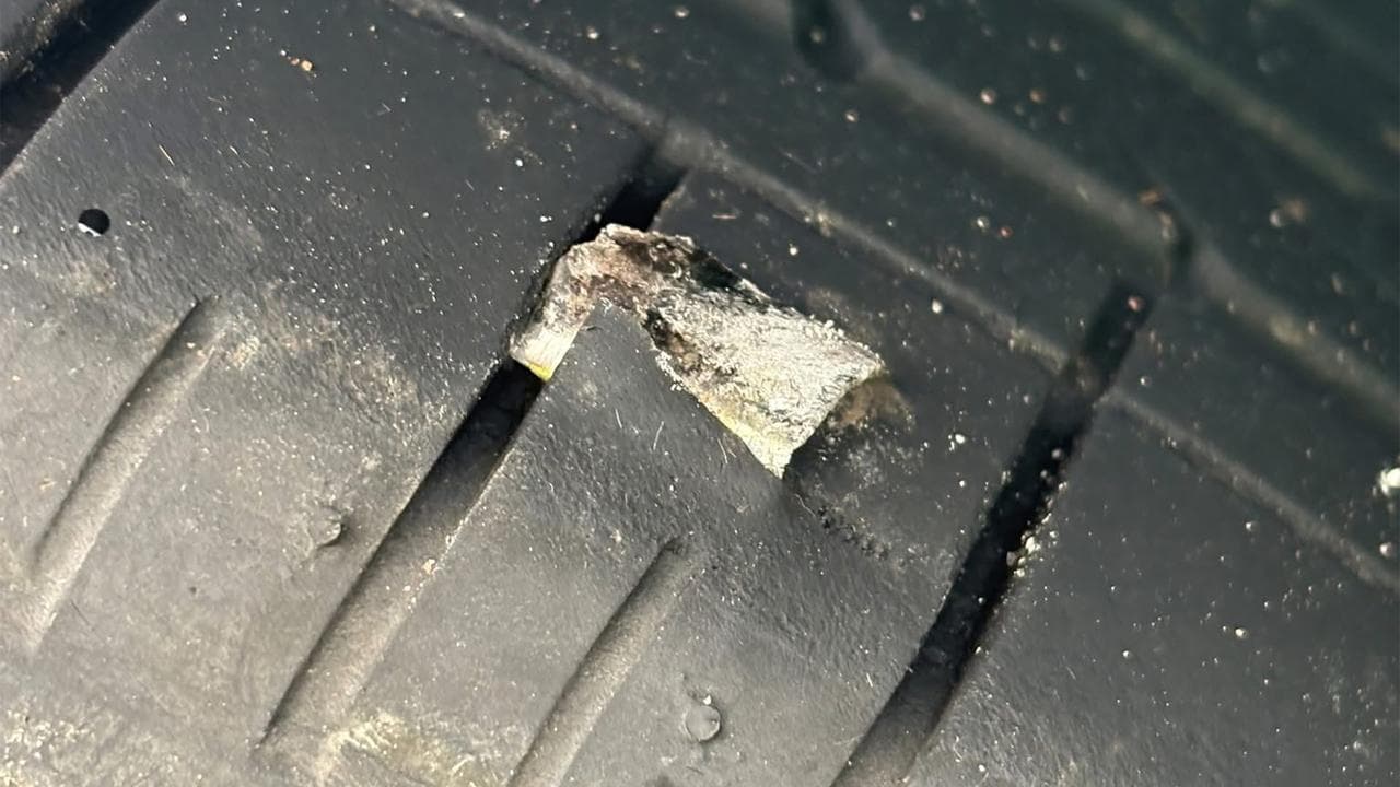 A metal shard embedded in a trye