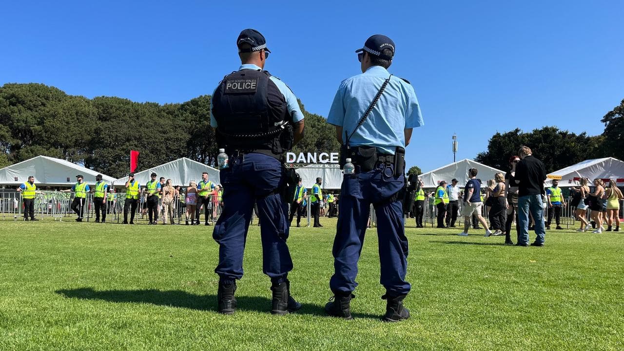 Police at a music festival (file)