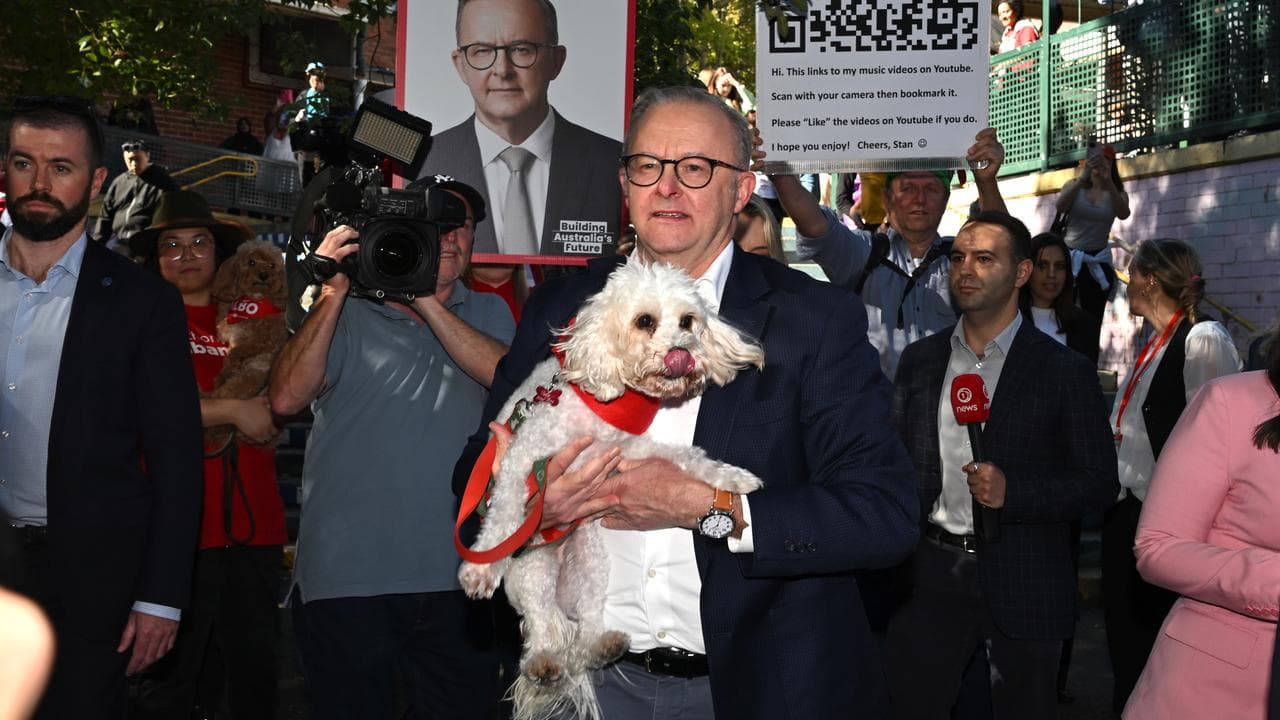 Anthony Albanese carries his dog Toto