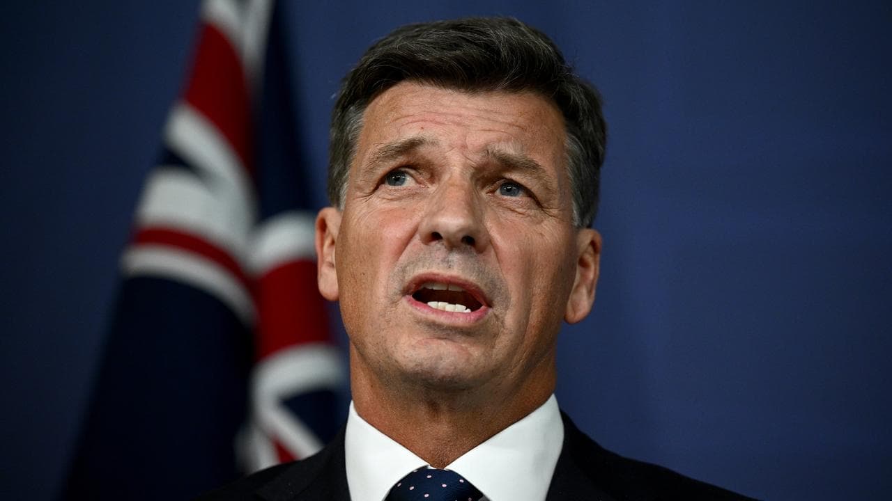 Shadow treasurer Angus Taylor