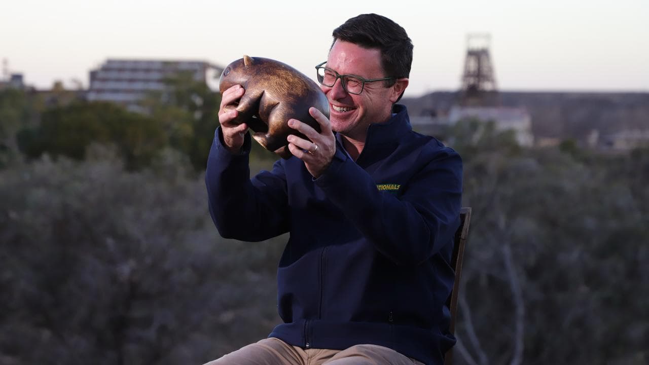 Nationals Leader David Littleproud