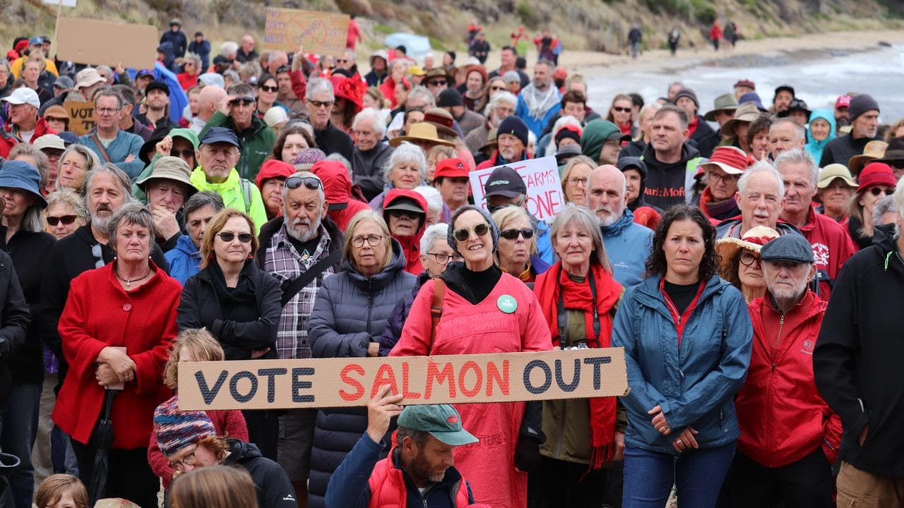 Anti-salmon farming protesters at Verona Sands in southern Tasmania