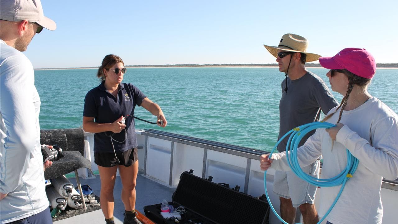 Researchers prepare the marine magnetometer