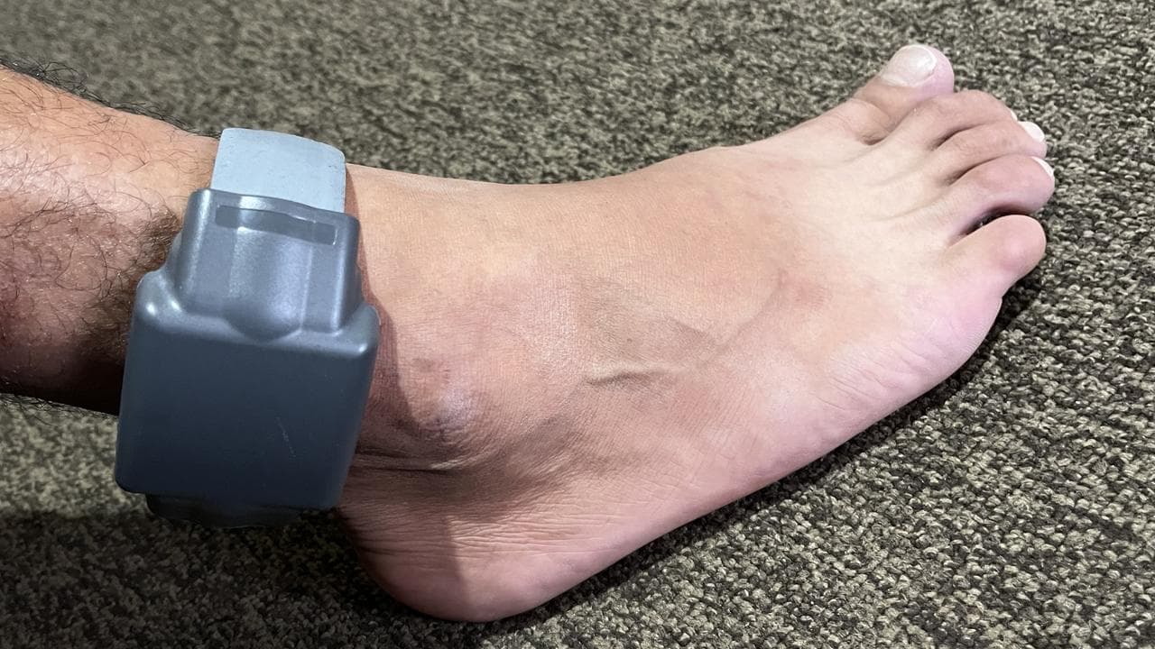 Electronic monitoring device (file)