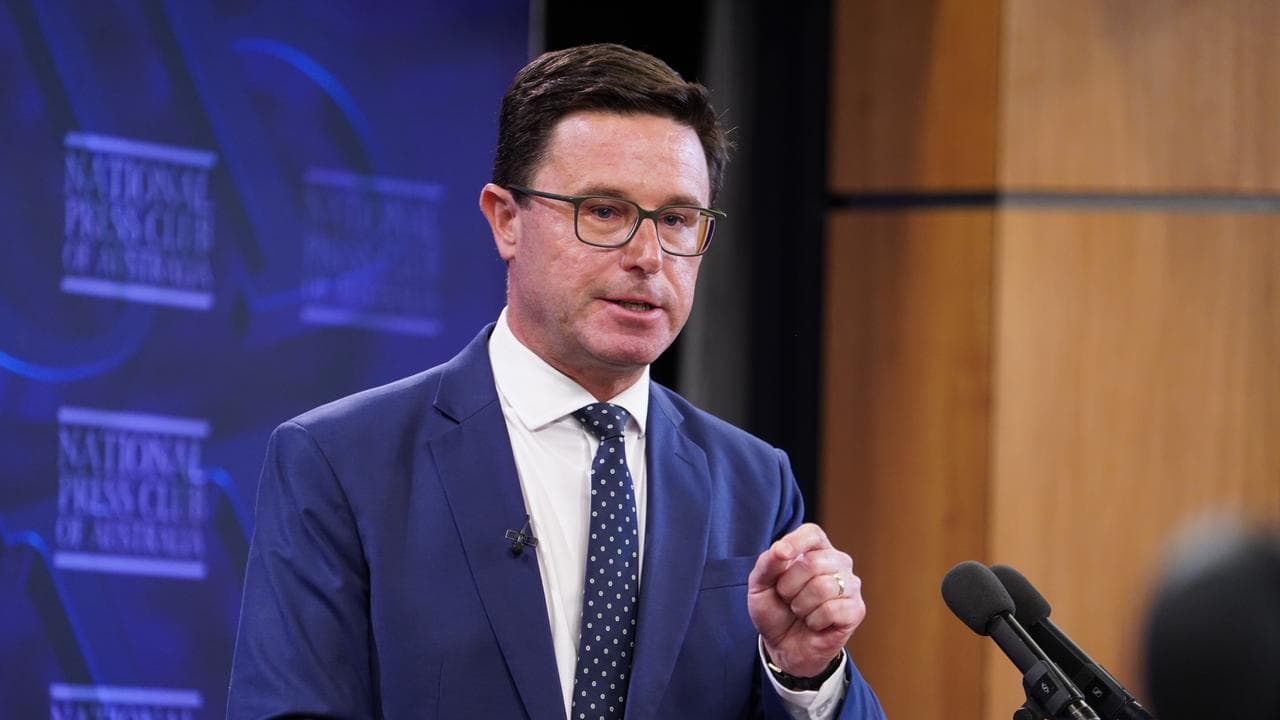 Nationals leader David Littleproud