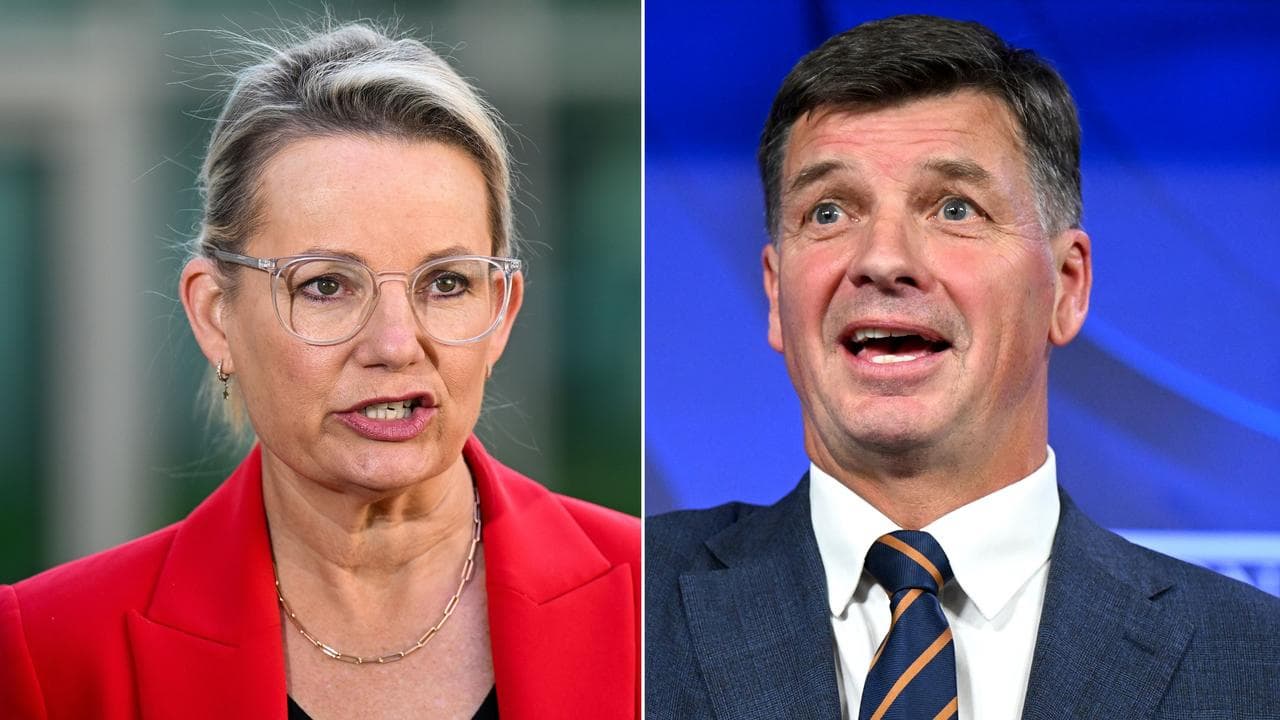 Sussan Ley and Angus Taylor (file image)