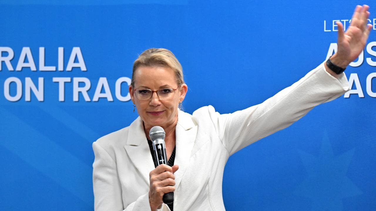 Sussan Ley (file image)