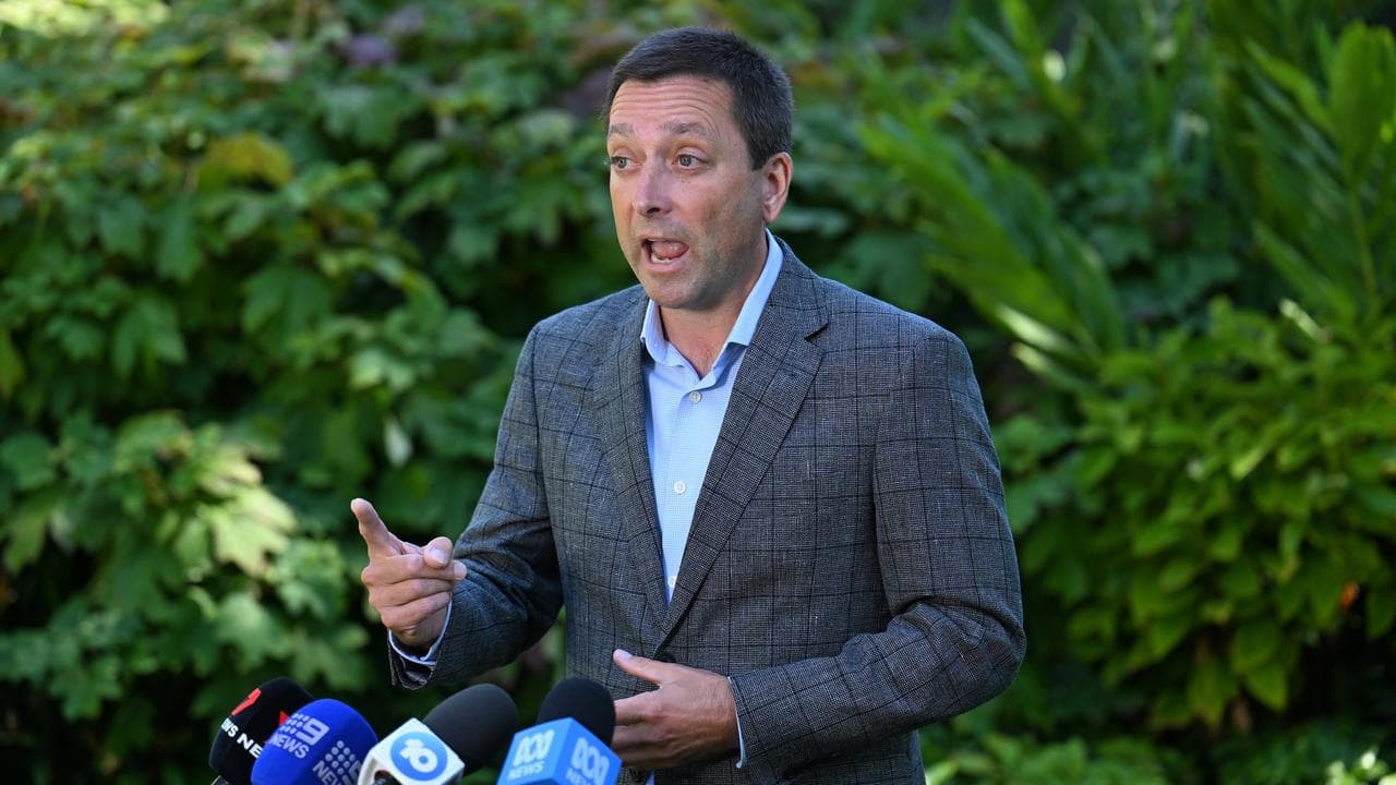 Matthew Guy (file image)