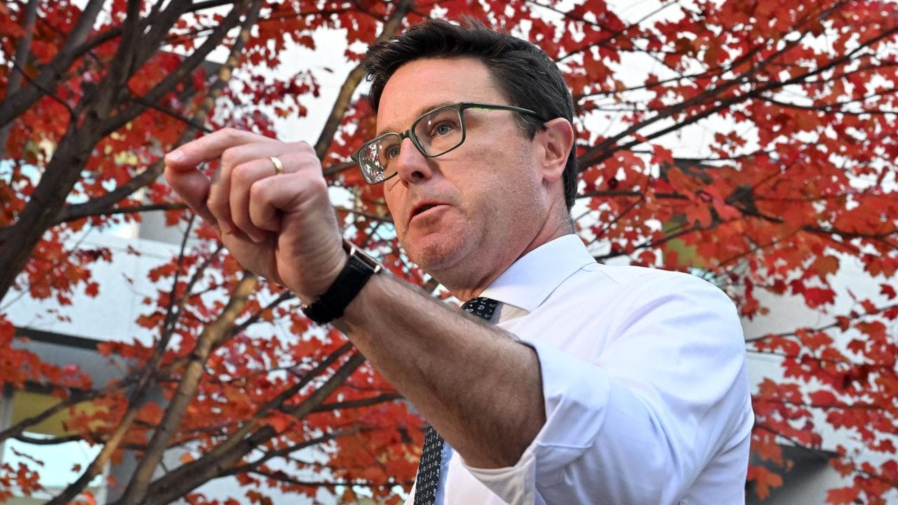 Nationals leader David Littleproud