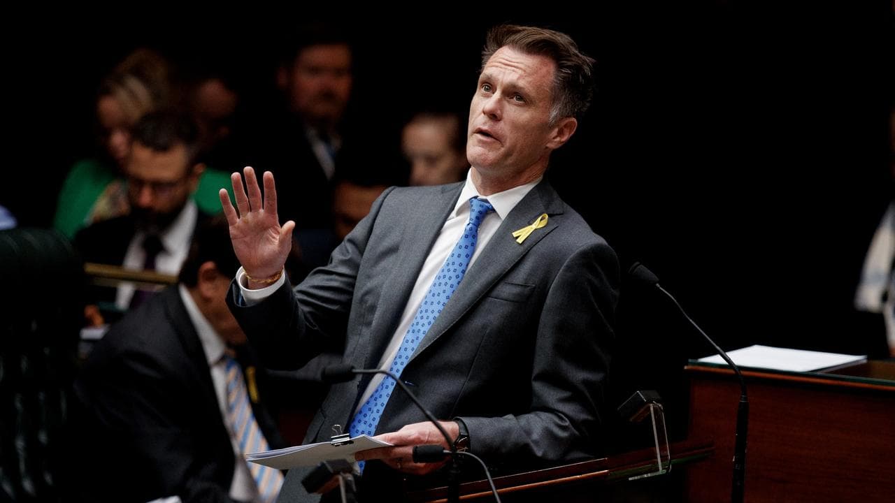 NSW Premier Chris Minns