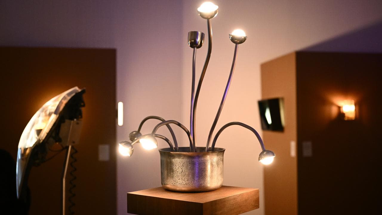 Seven Flowers and a Tall Vase at the 100 LIGHTS exhibitions