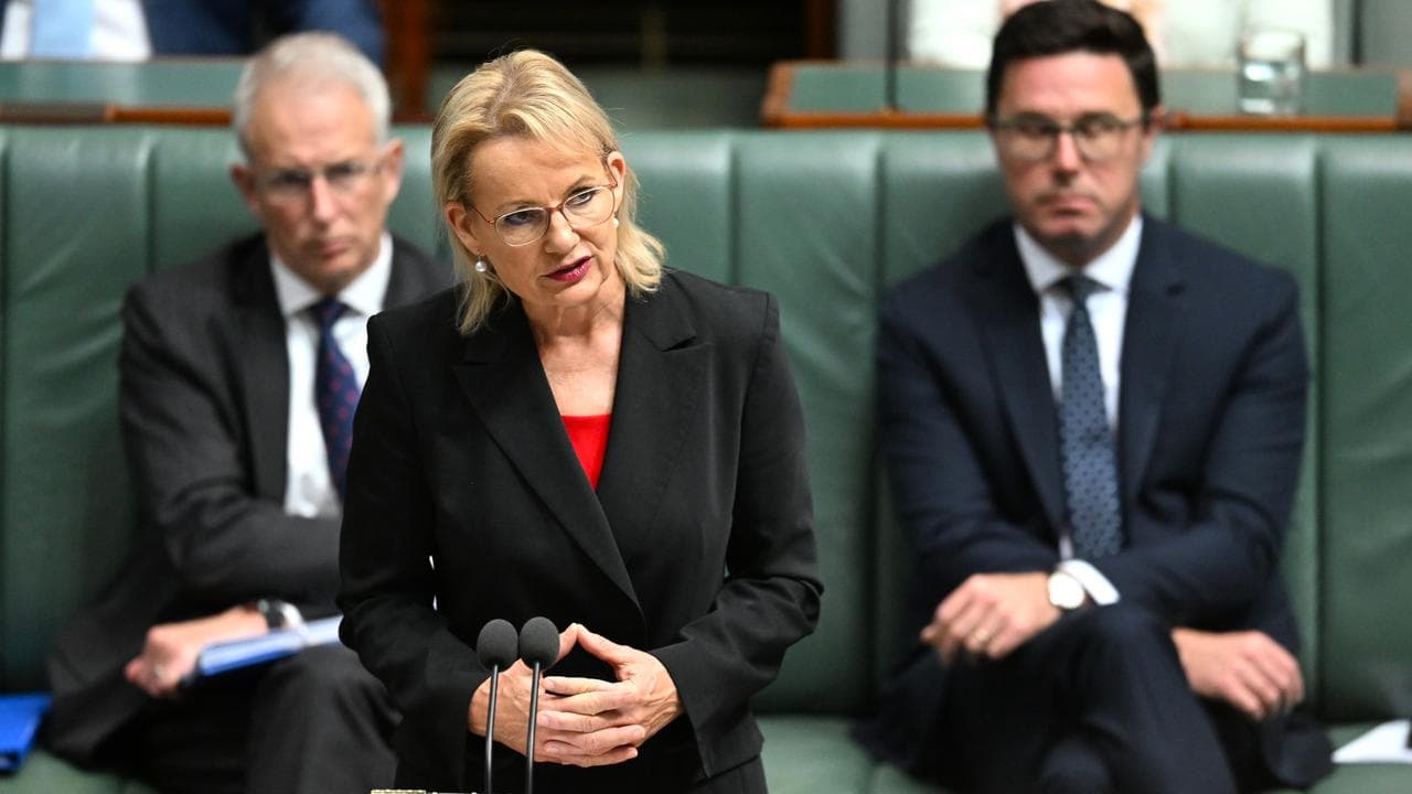 Sussan Ley speaks during question time in parliament