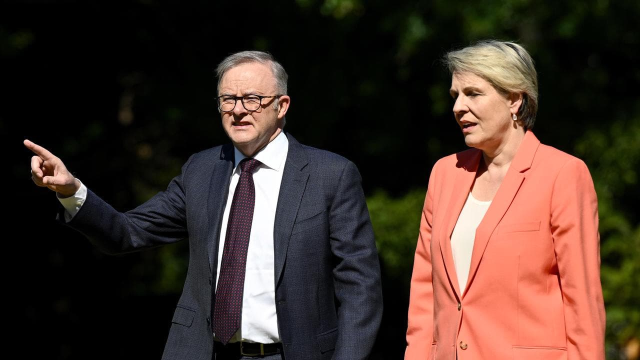 Prime Minister Anthony Albanese and Minister Tanya Plibersek
