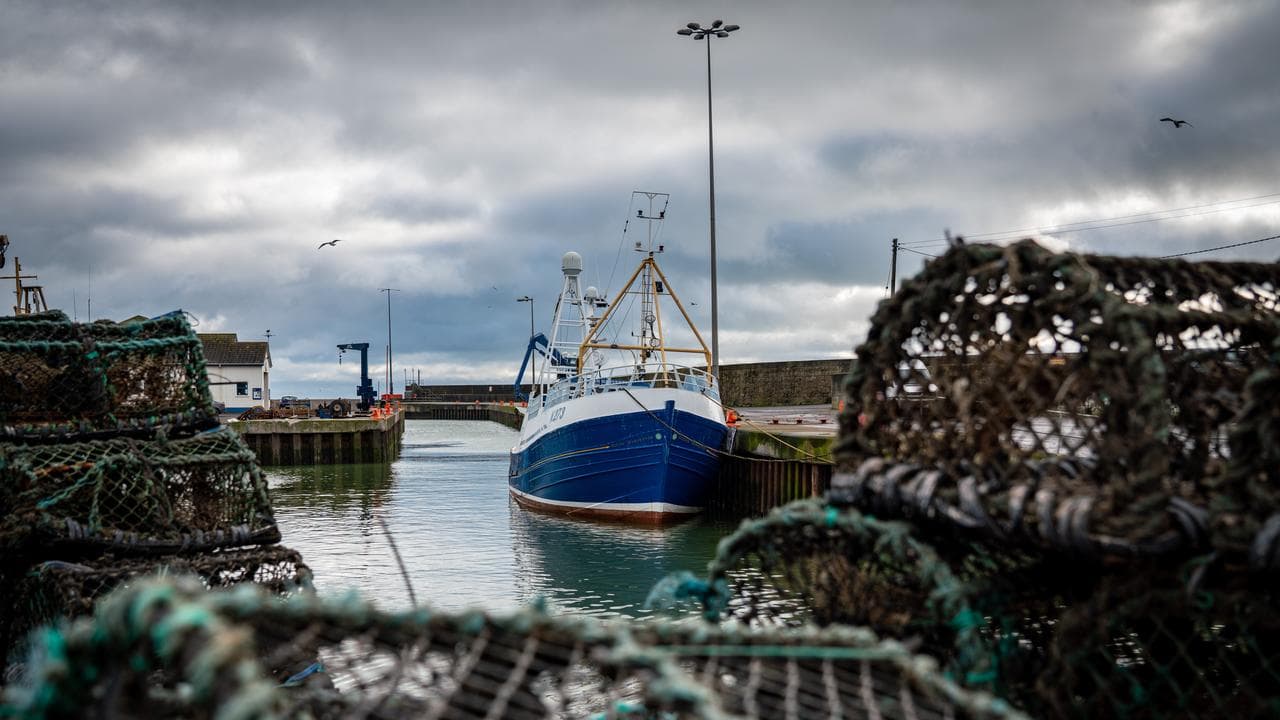 Fishing vessel docked at a harbour
