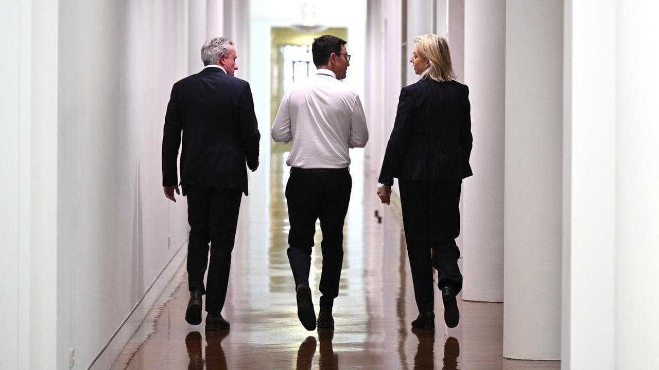 David Littleproud, Kevin Hogan and Bridget McKenzie